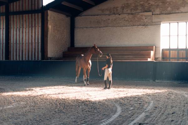 horse-boarding