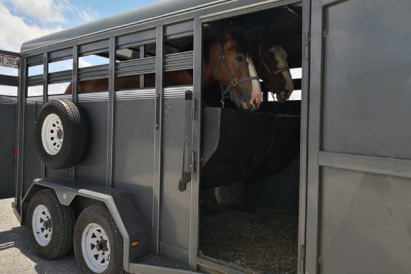 horse-boarding