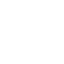 Zoom Icon